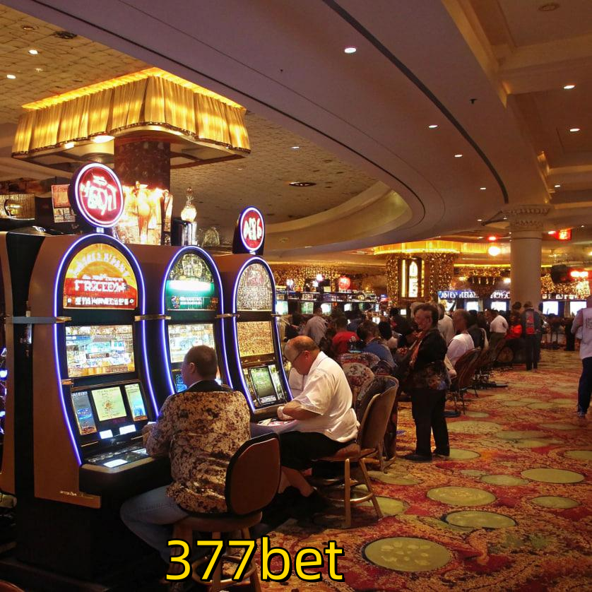 377bet